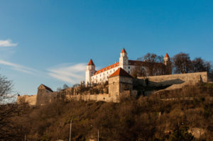 _DSC3980