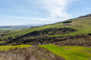 _DSC6245