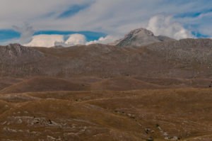 DSC_2908